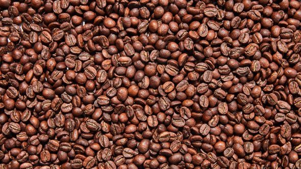 purchase coffee beans