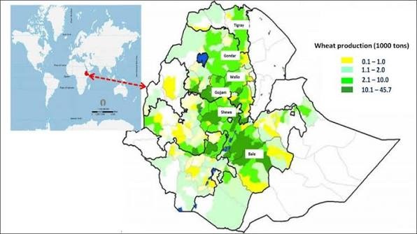 Map of Ethiopian growing regions