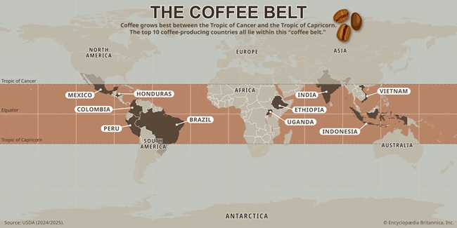 the coffee belt