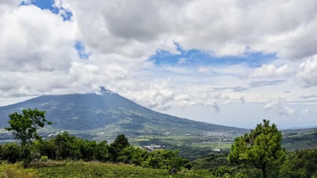 Coffee farms in the Antigua valley with Agua volcano in the background