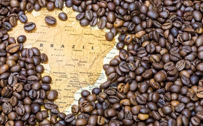 pressures facing brazilian coffee